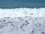 Wellen an Zyperns Westküste